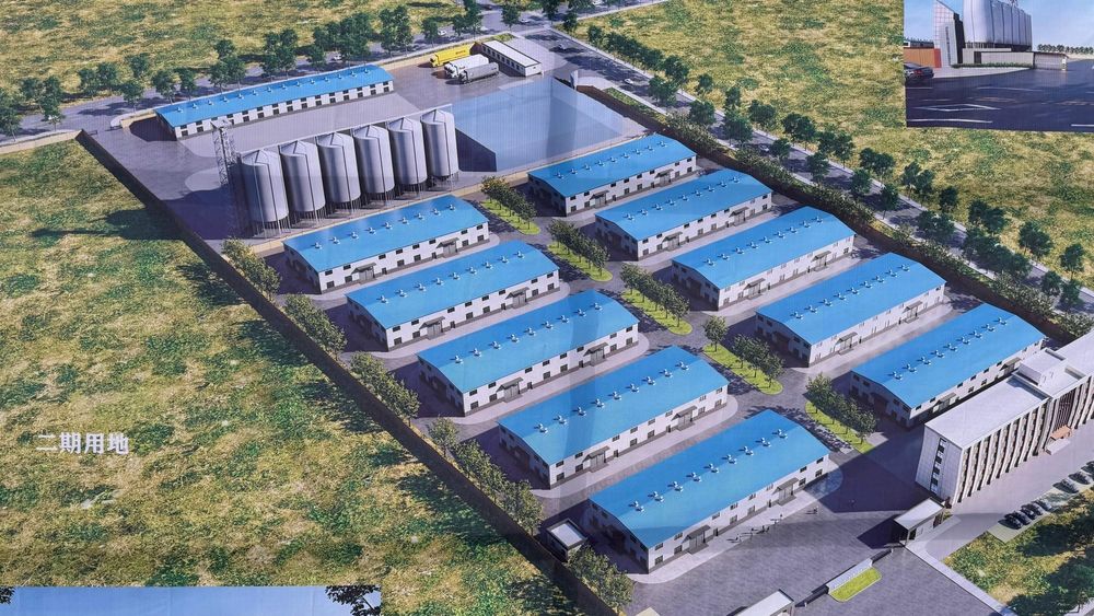 В Китае открыли контрольный склад Кыргызстана для экспорта сельхозпродукции изображение публикации