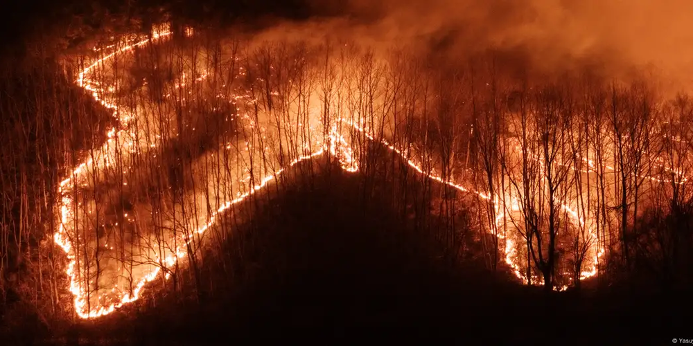Среди кыргызстанцев в Южной Корее жертв от пожаров нет – МИД изображение публикации