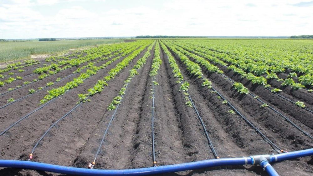 В Кыргызстане весной оросят 270 тысяч га сельхозземель изображение публикации