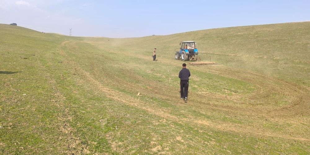 В Кыргызстане восстанавливают пастбища – засеяно более 2.8 тысячи га изображение публикации
