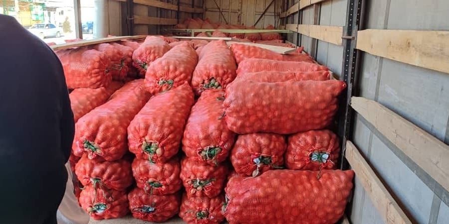 Из Иссык-Куля в Алай доставили 25 тонн семян картофеля сорта «Пикассо» изображение публикации