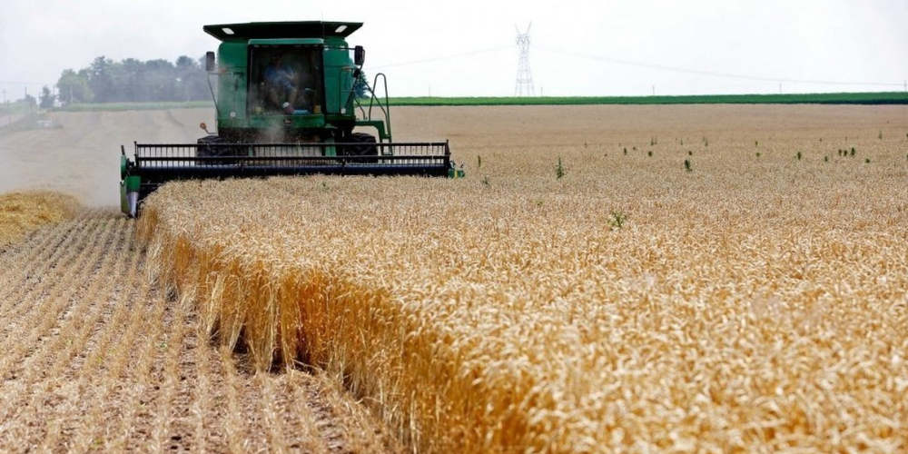 В КР завершена уборка урожая: рекордно вырос сбор зерновых культур и сахарной свеклы изображение публикации