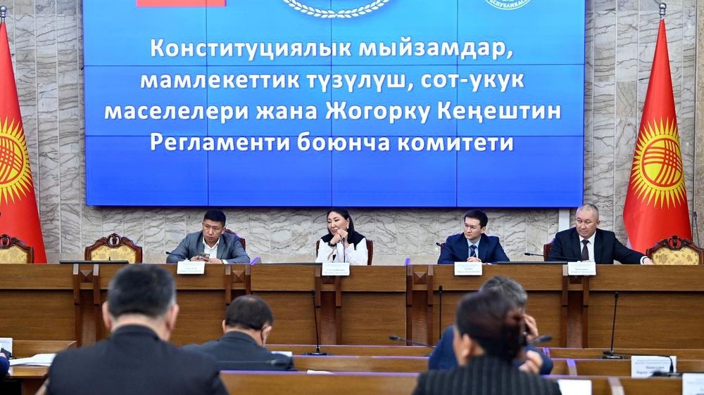 Комитет ЖК одобрил новый закон о выборах депутатов парламента в первом чтении изображение публикации