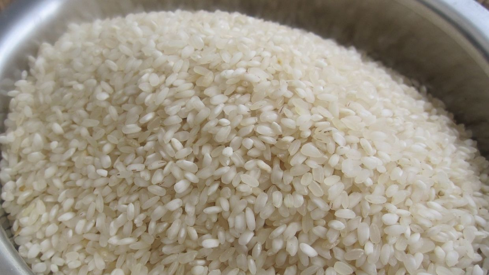 Объем производства риса в Кыргызстане вырос до 48 тысяч тонн в год – Минсельхоз изображение публикации