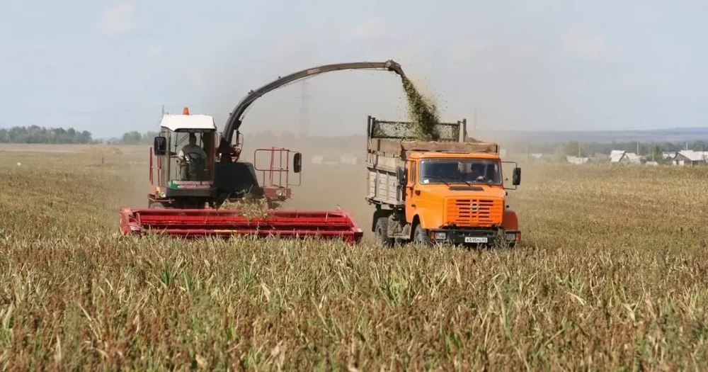 В Кыргызстане завершили уборку зерновых и приступили к посеву озимых изображение публикации