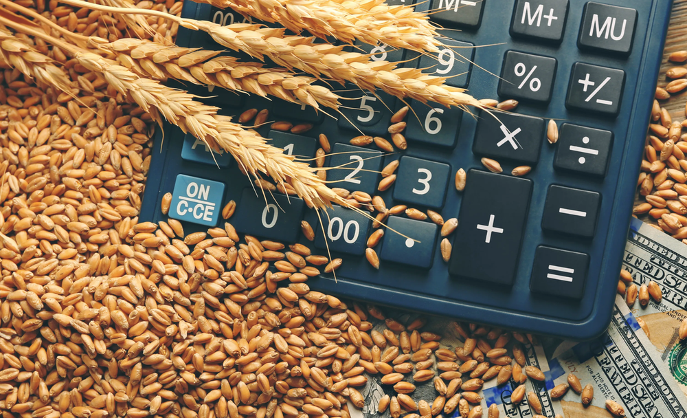 Сельхозпроизводители смогут оформить кредиты под 6% в рамках нового проекта изображение публикации