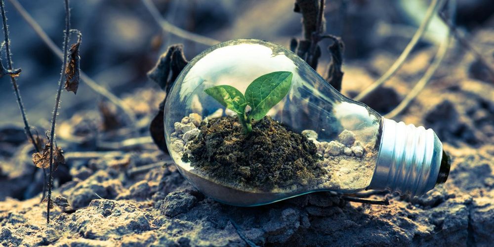 Банки снижают ставки на зеленые проекты в КР – чьи условия выгоднее? изображение публикации