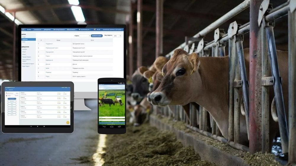 В Кыргызстане начала работу система цифрового контроля за животноводческой продукцией изображение публикации