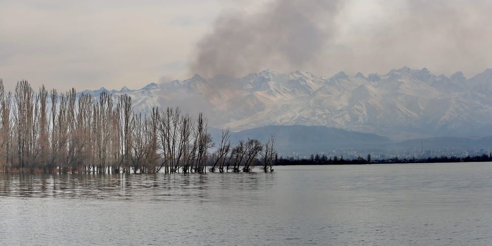 Депутат ЖК предлагает ввести режим ЧС в водном секторе – как в энергетике изображение публикации