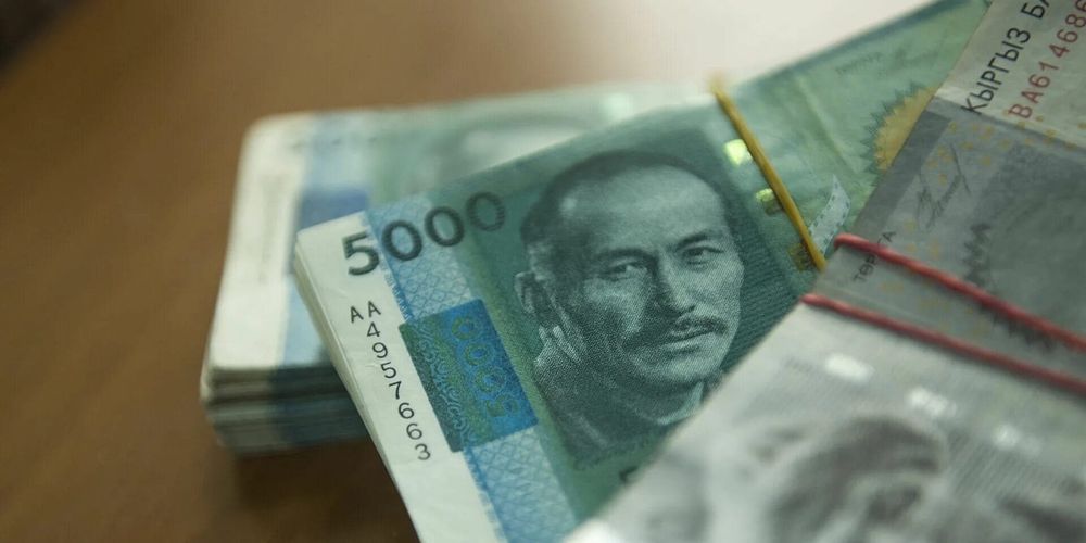 Борьба с незаконным землепользованием принесла бюджету КР 5.3 млрд сомов – генпрокурор изображение публикации