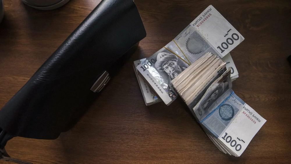 Бизнесу КР выдали более 8.8 млрд сомов беспроцентных кредитов изображение публикации