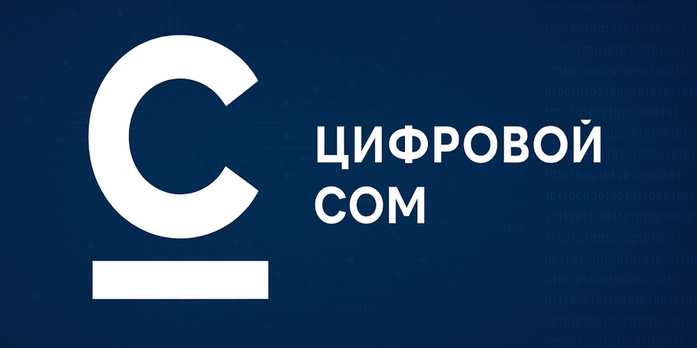 Что нужно знать о цифровом соме — главные детали от Нацбанка изображение публикации