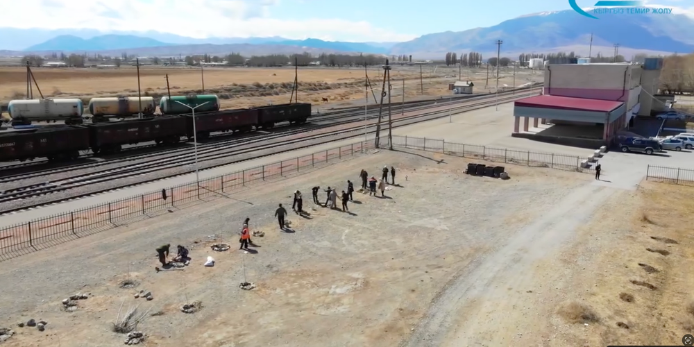 Сотрудники «Кыргыз темир жолу» высадили 200 саженцев тополей в Балыкчы изображение публикации