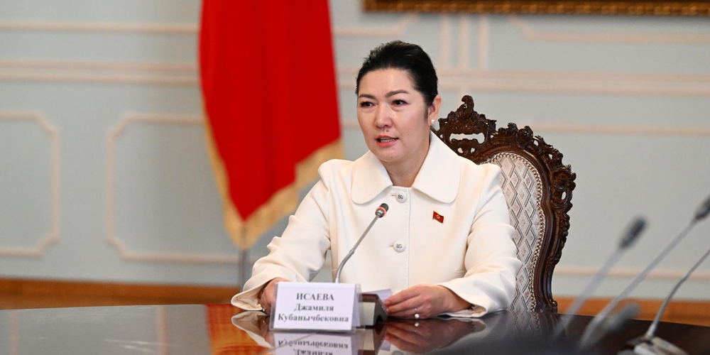 Джамиля Исаева сложила с себя полномочия вице-спикера ЖК изображение публикации