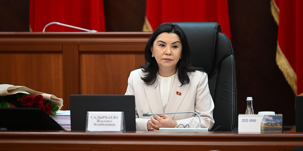 Основатель компании «Фармамир» Жылдыз Садырбаева избрана вице-спикером ЖК изображение публикации