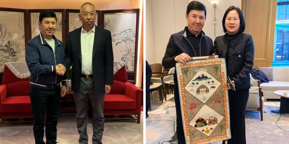 Кыргызстан и Китай нацелены на совместные проекты в фармацевтике и логистике изображение публикации