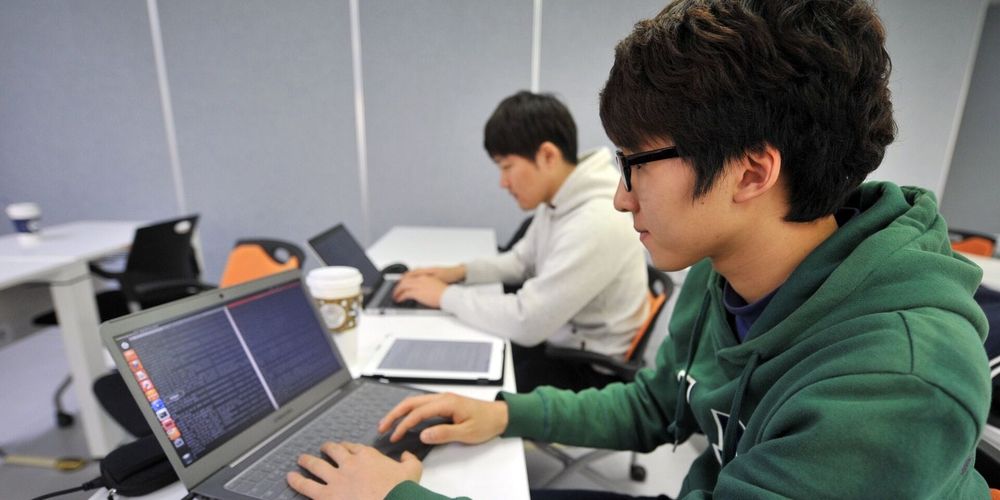 Где обучиться IT-профессиям в Бишкеке: обзор популярных курсов от Economist.kg изображение публикации