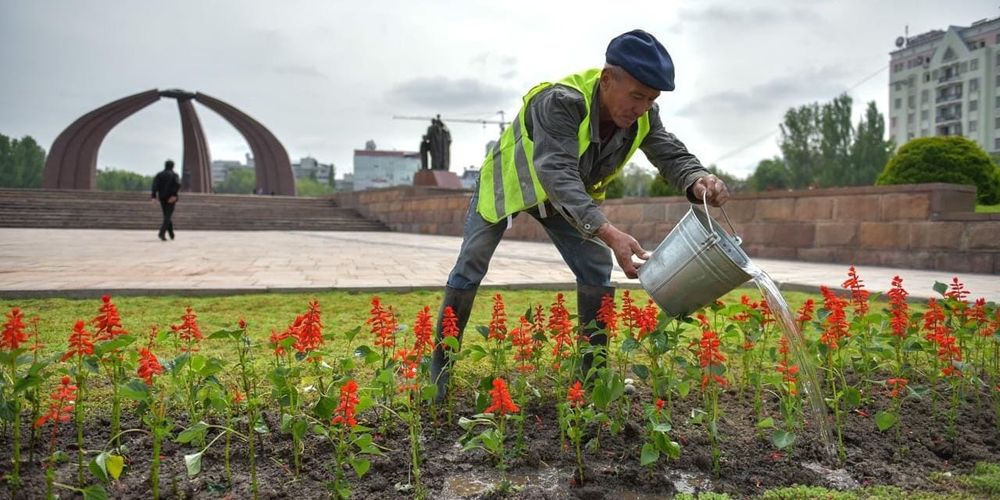 Кому доступна программа оплачиваемых общественных работ и как в нее попасть? Подробности изображение публикации