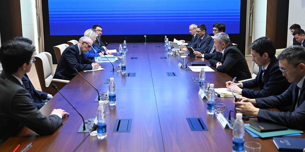 Британская компания презентовала проект по высадке 10 млн деревьев за $150 млн в Иссык-Кульской области изображение публикации