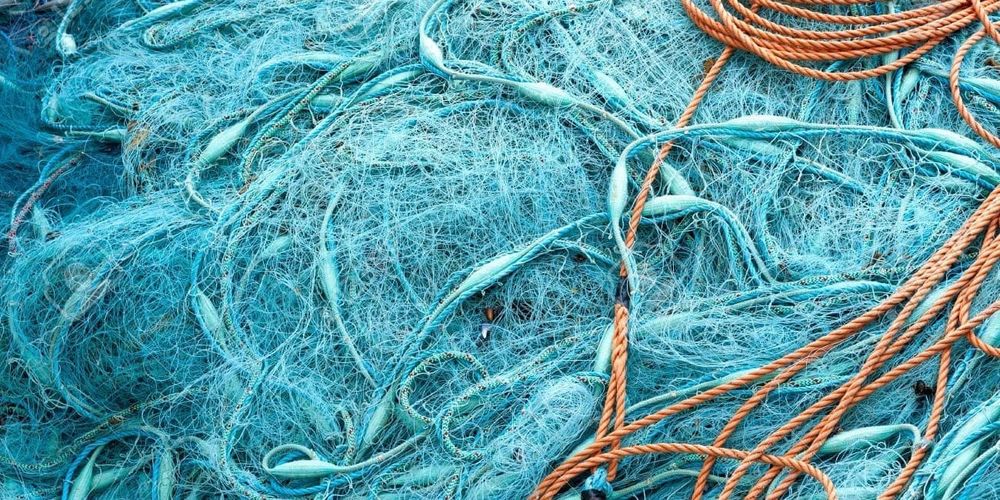 На Иссык-Куле изъяли 500 метров незаконных сетей, установленных браконьерами изображение публикации