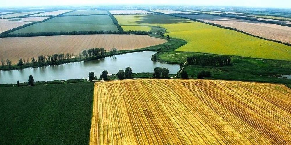 Власти трансформируют 371 га сельхозземель в Джалал-Абадской области под новый аэропорт изображение публикации