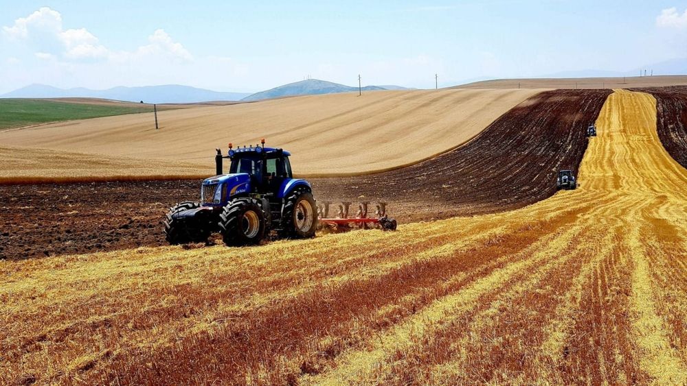 Фермеры КР получили кредиты на 1.3 млрд сомов в рамках «ФСХ-13» изображение публикации