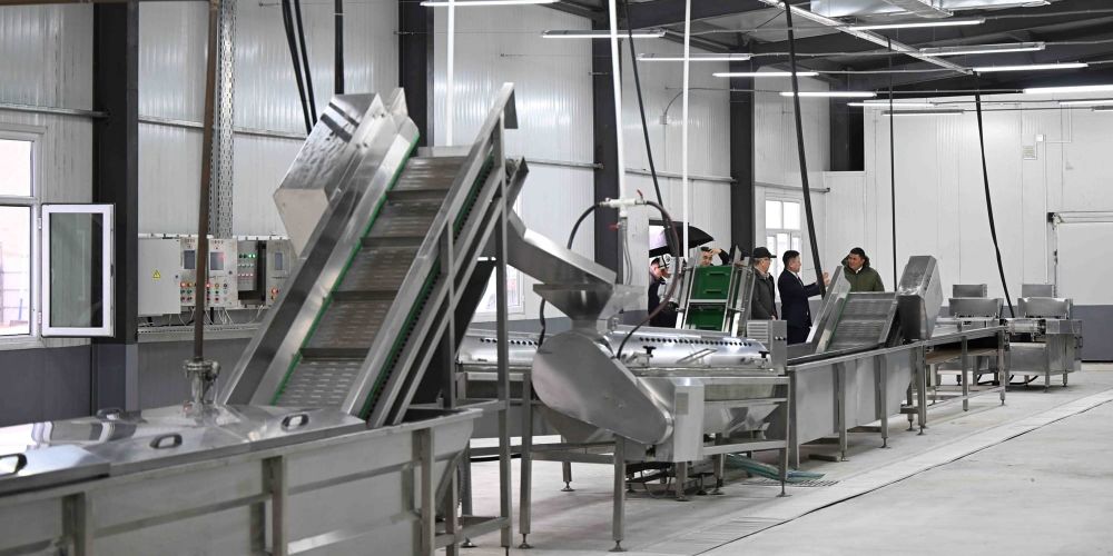 В Нарыне завершается строительство завода по переработке мяса птицы — продукция пойдет в Китай изображение публикации