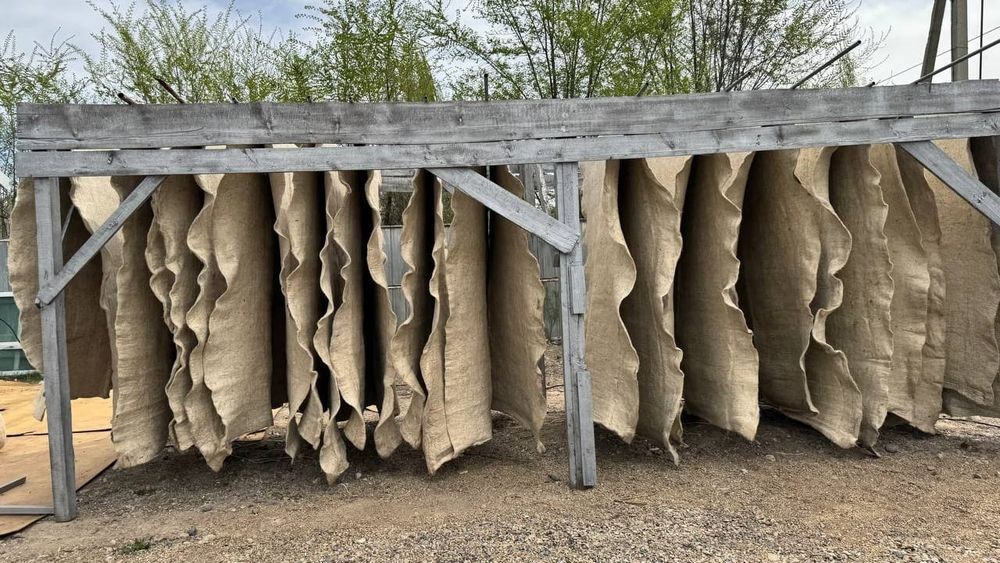 В Таласской области открыли новый цех по переработке шерсти изображение публикации