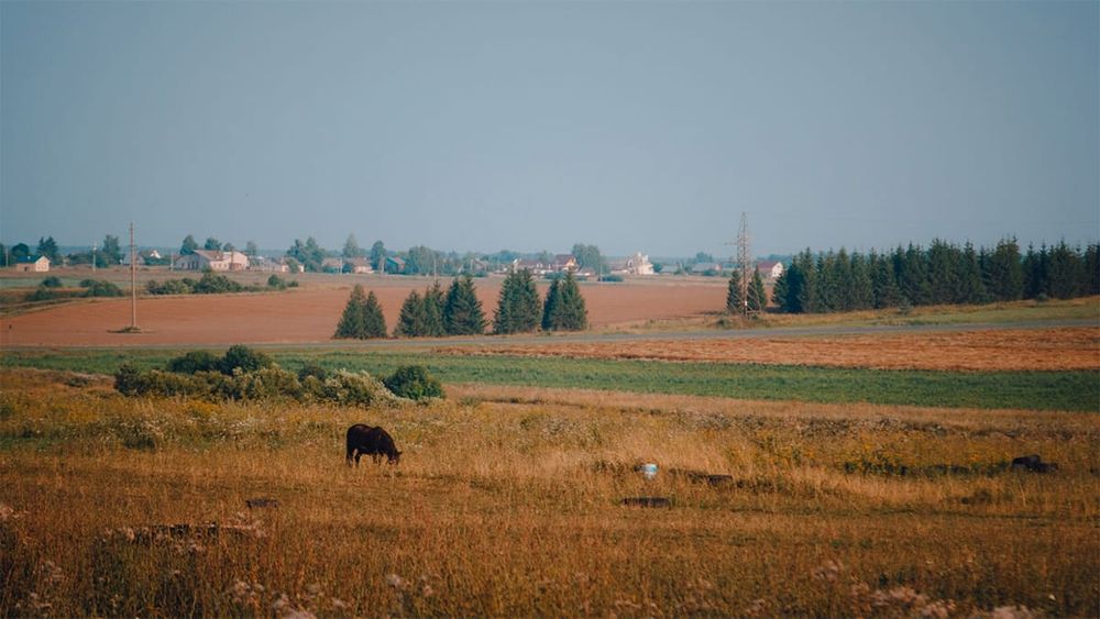Прокуратура вернула государству 12 га сельхозугодий в Ошской области изображение публикации
