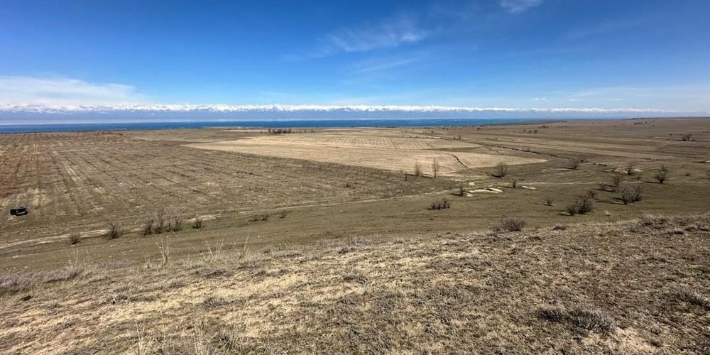 Государству вернули 145 га неиспользуемых сельхозземель на Иссык-Куле изображение публикации