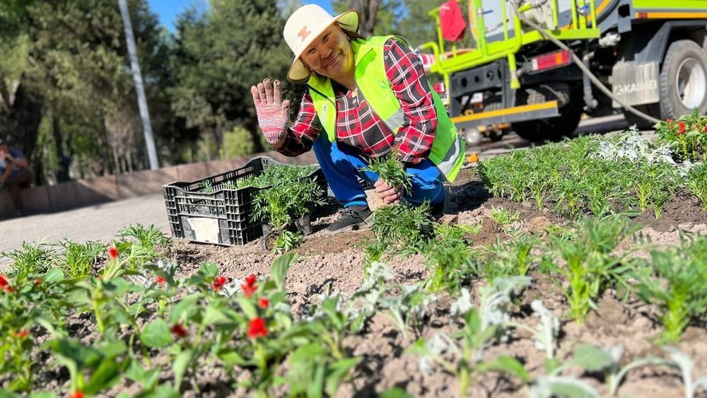 Бишкек зацветет летом: по всему городу высадят 1.6 млн цветов изображение публикации
