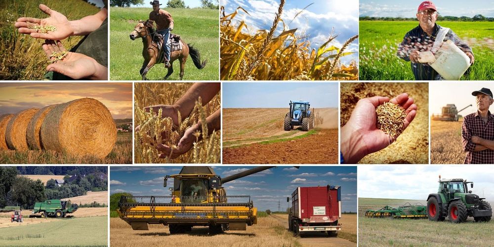 Сельхозпроизводителям КР выдали почти 2 млрд сомов льготных кредитов по проекту «ФСХ–13» изображение публикации