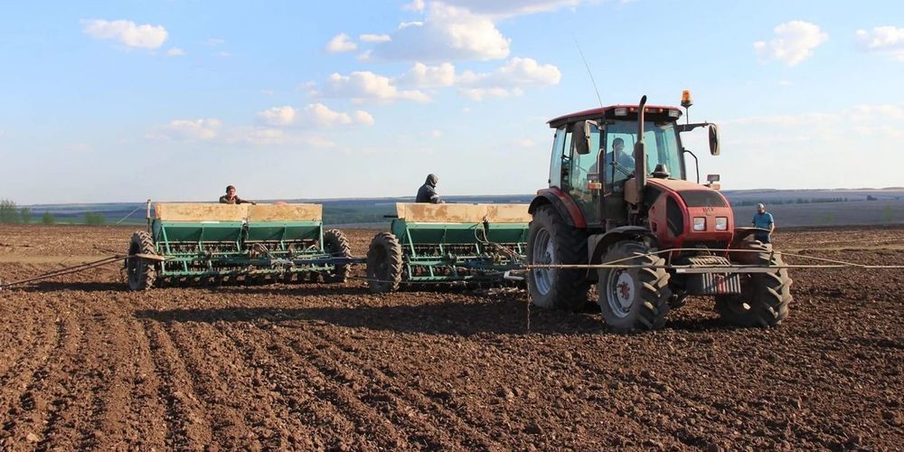 В Кыргызстане засеяли 334 тысячи га сельхозугодий изображение публикации