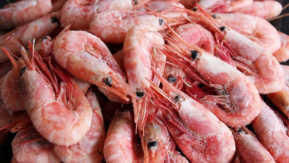 В Кыргызстан не пропустили партию креветок из Вьетнама изображение публикации