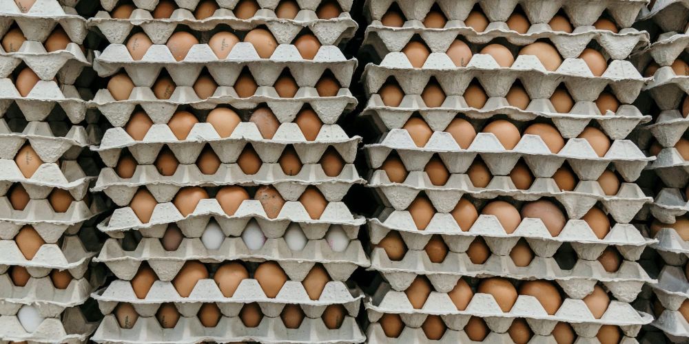 За три месяца 2025 года Кыргызстан экспортировал в Казахстан более 8.8 млн яиц изображение публикации