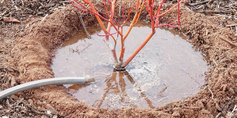 Весенний полив полей в КР охватил 26.3 тысячи гектаров — данные Минсельхоза изображение публикации