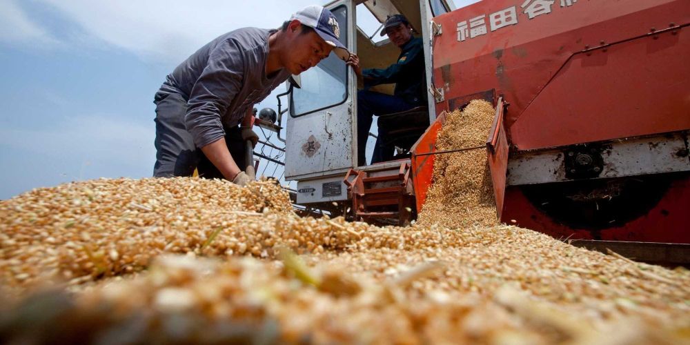 Минсельхоз напомнил о перечне документов для импорта и экспорта сельхозпродукции изображение публикации