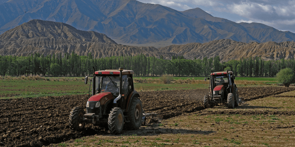 Полевые работы в КР охватили 156 тысяч га – аграрии увеличили посевы пшеницы, ячменя и картофеля изображение публикации