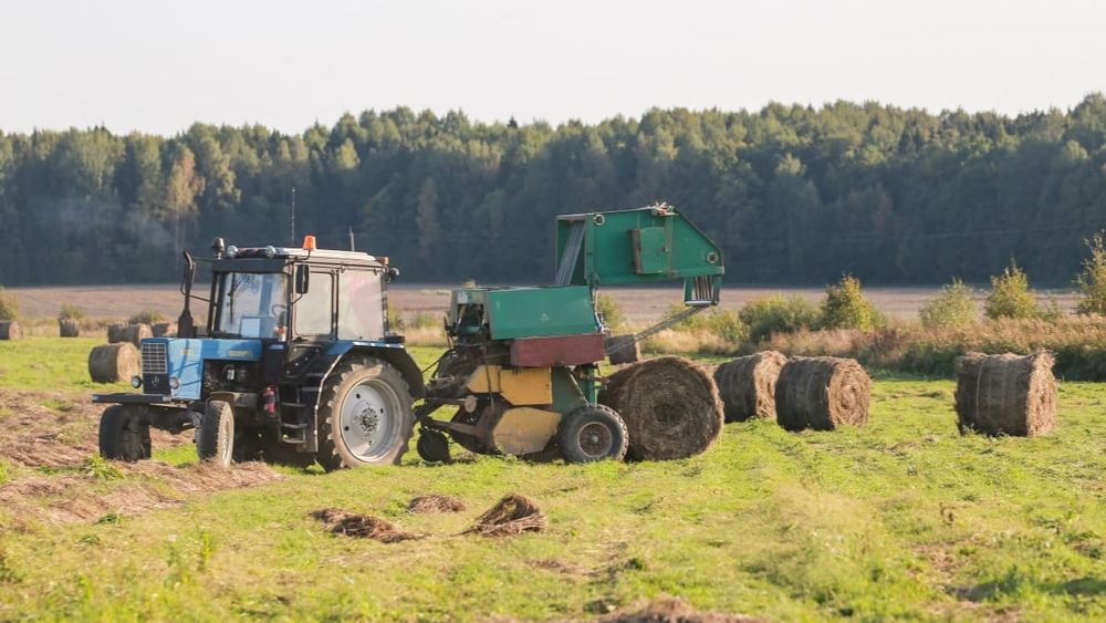 В КР засеяли 116 тысяч га сельхозугодий – полевые работы в разгаре изображение публикации