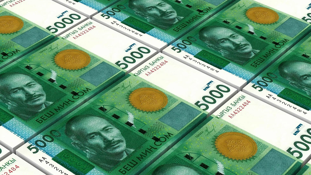 Кто в КР задолжал по налогам более 500 млн сомов? Рейтинг крупнейших должников изображение публикации