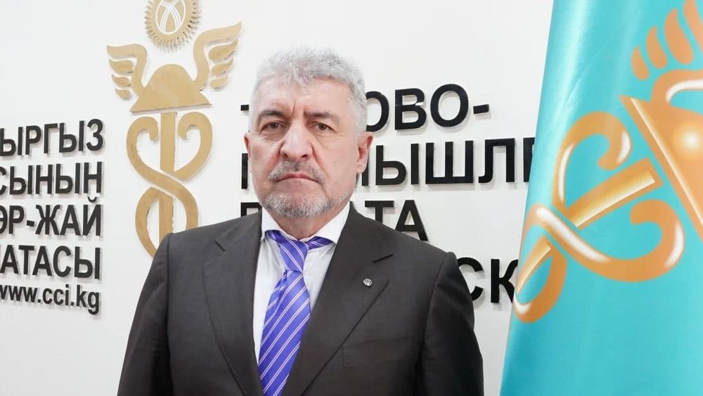 В Японии появился представитель Торгово-промышленной палаты Кыргызстана изображение публикации