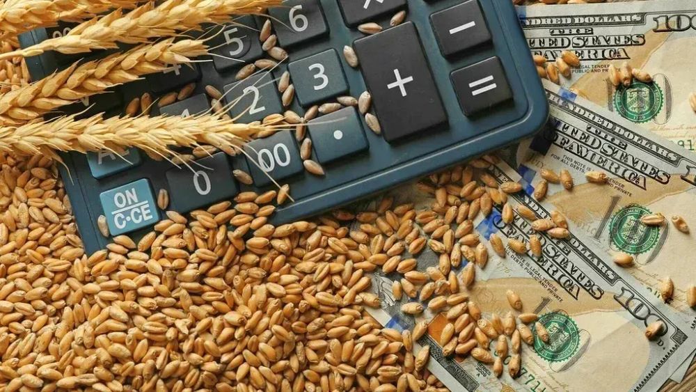 Спецштаб Минсельхоза будет помогать фермерам КР с экспортом изображение публикации