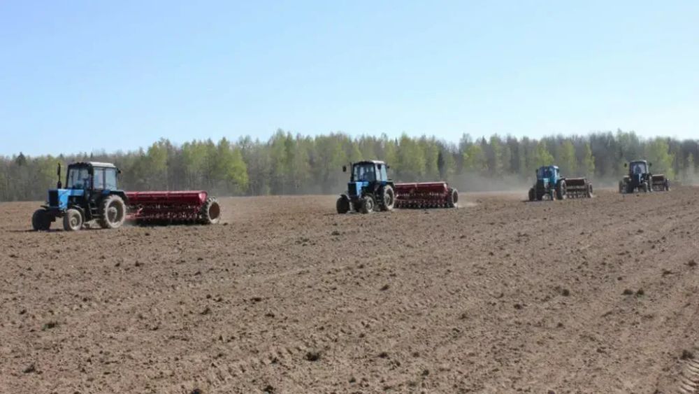 В Кыргызстане весенне-полевые работы завершены на 80.6% – Минсельхоз изображение публикации