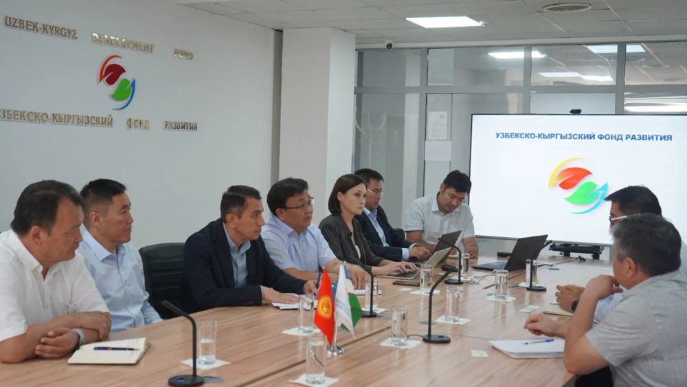 УКФР поддержит «Кыргызфармацию» в закупке медикаментов из Узбекистана изображение публикации