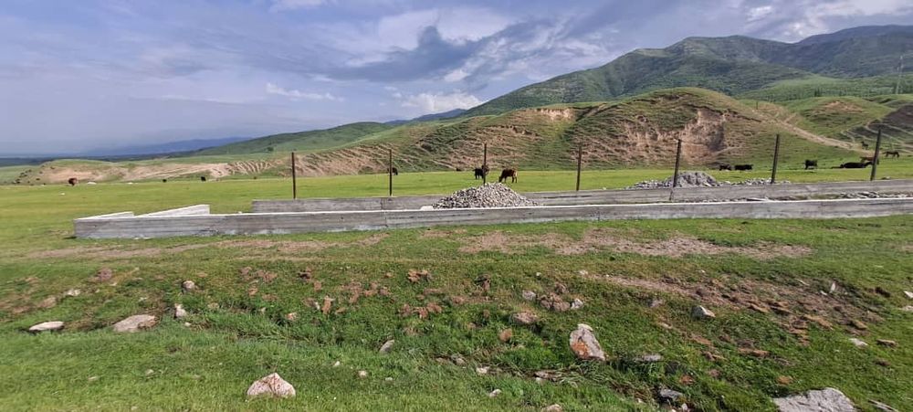 В Чуйской области выявлен самозахват земли — нарушитель успел заложить фундамент изображение публикации