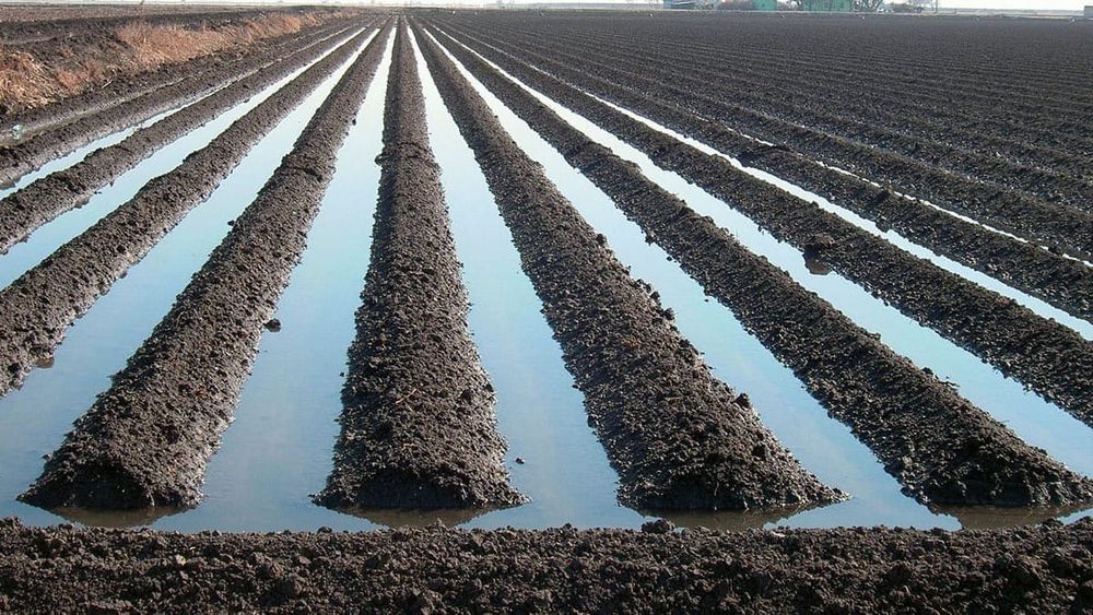 Первый поливной сезон года в КР прошел успешно – Минсельхоз готовится к следующему изображение публикации