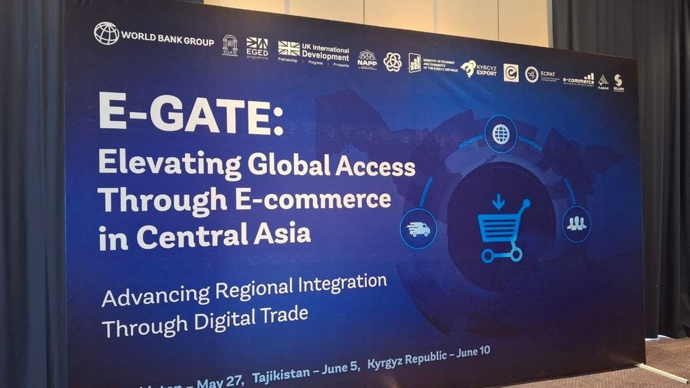 Объем E-commerce в КР достиг $359.2 млн: к 2028 году рынок может вырасти до $600 млн — Минэконом изображение публикации