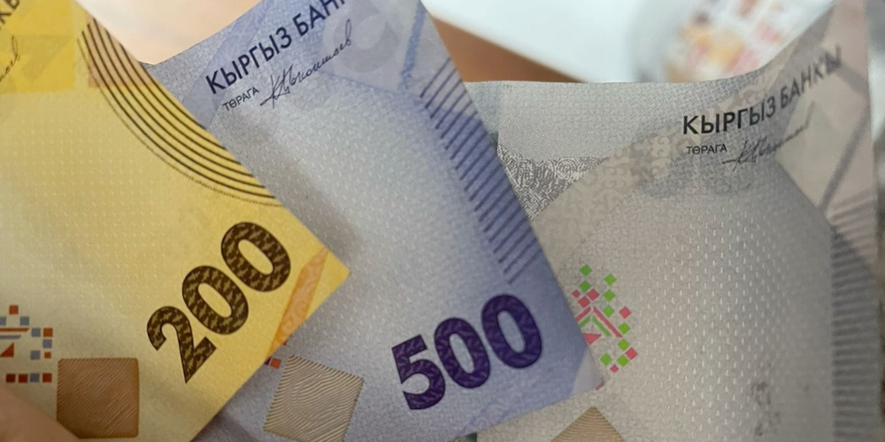 Прожиточный минимум во II квартале 2025 года составил 8 770 сомов изображение публикации