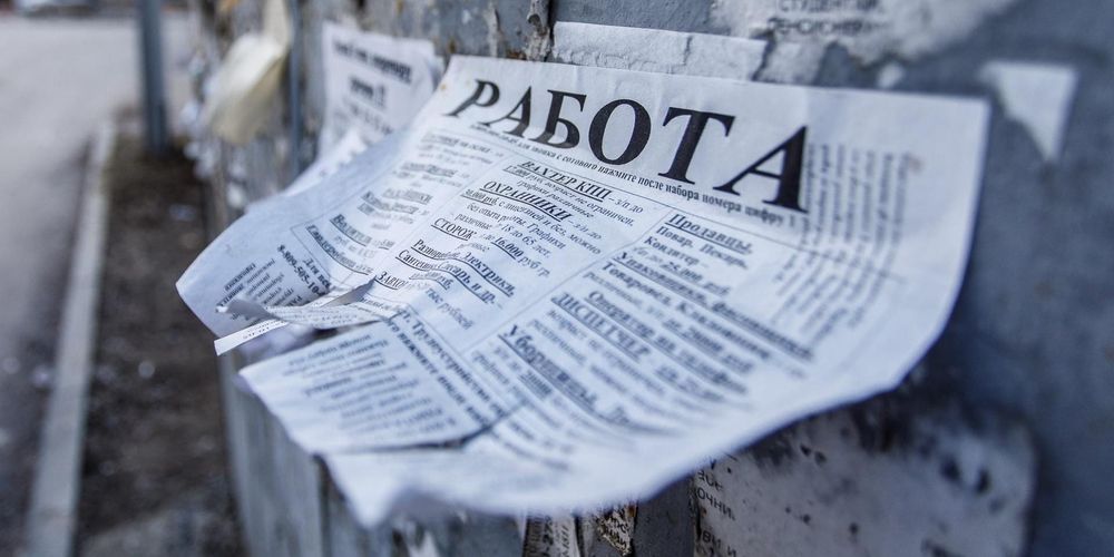 В Кыргызстане число безработных сократилось на 22% – Минсоцтруда изображение публикации