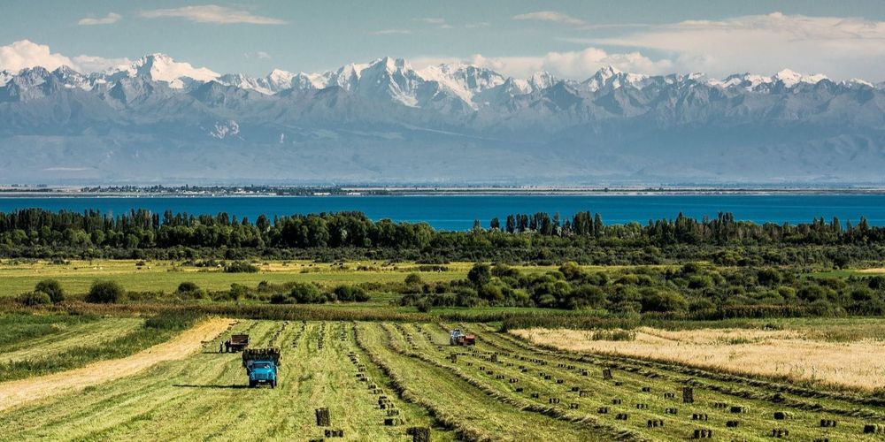 В Кыргызстане создали цифровую платформу для аренды сельхозземель – agrojer.kg изображение публикации